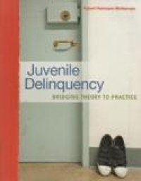 Juvenile Delinquency; Bridging Theory to Practice